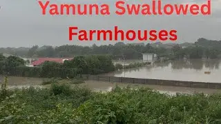 Yamuna Floods | Greater Noida Farmhouses Flooded After Yamuna River Crosses Danger Mark