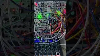 Playing around with Marbles CV Quantizer #modular #music #electronic #eurorack #synth
