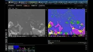 Live chemical mapping of Sn-Cu solder region in Al-Si alloy with ESPRIT LiveMap