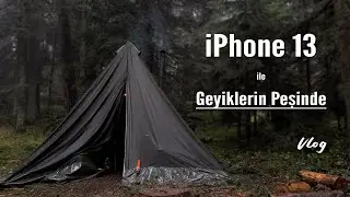 iPhone 13 İle Geyik &Ccedil;ekimi | Ayı ve Geyik &Ccedil;ekmek İ&ccedil;in Karanlıkta Kamuflaj &Ccedil;adırı Kurduk
