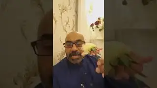 متى تشعر الزوجة بالأمان مع الزوج 