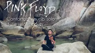 Pink floyd Comfortably numb solo violin cover