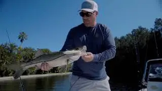How To: Snook Fishing Top Water Plugs + Swimbaits