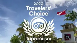Divers Direct is Presented the 2020 Tripadvisor Traveler's Choice Award!