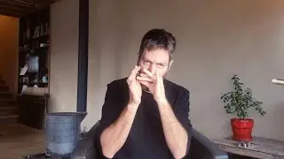 The Lark on the Strand &ndash; Irish jig on diatonic harmonica (Paddy Richter)