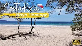 Playa Flamingo, Costa Rica: resumen del viaje en 3 minutos 🌴