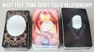 PICK - A -CARD WHAT DOES YOUR PERSON THINK ABOUT YOU / A RELATIONSHIP WITH YOU?