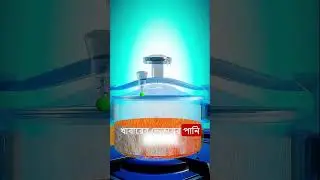 How a Pressure Cooker Works &ndash; The Science Behind Fast Cooking || #facts #science #shorts #viral