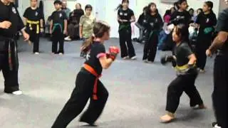 Marin Martial Arts (Kids)
