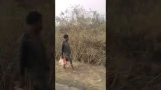 village rode view