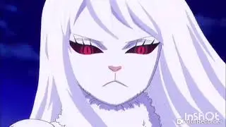 Carrot vs Big Mom Pirates AMV