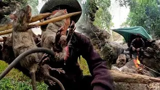 Episode: Trapping rats and cook in the jungle alone. Best food in rural area.