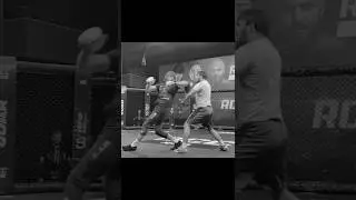 shara magomedov exercise edit#ufc#train#edit