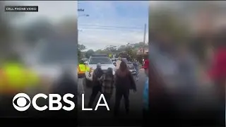 Observer pepper-sprayed by federal agents during Santa Barbara immigration operation