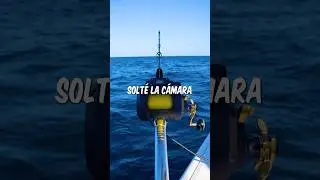 Dej&eacute; caer una C&Aacute;MARA a 500 pies de profundidad para mi cena 📸 #cortos