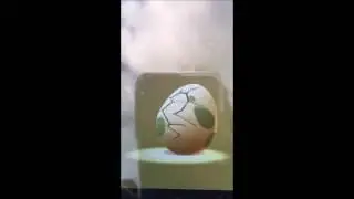 Pokemon Go Egg Hatching Compilation #1