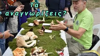 Ομιλία με θέμα Άγριων Μανιταριών. 27.09.2025