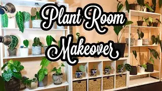 Plant Room Makeover: Anthurium Wall