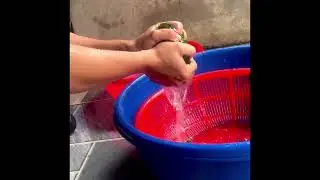 &ldquo;Silent Village Life &ndash; Traditional Cooking in Rural Vietnam | Ph&ugrave;ngvlogs&rdquo;