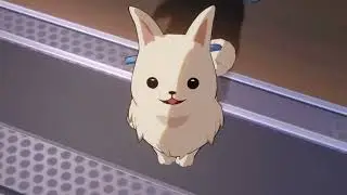 A normal Peppy video | Honkai Star Rail