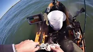 Blackfish opener 10/10/25 ct shoreline