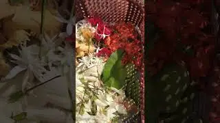Walking home with lots of love filed basket 🧺