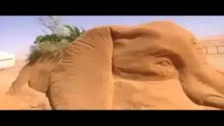 TRANSAHARA ELEFANT 2013 MP-4