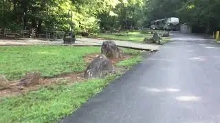 Curtis Creek Campground review