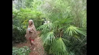 Northern Exotic garden needs no Winter protection