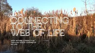 Connect to the Web of life by learning skills that connect us to nature