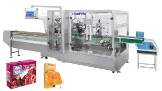 Automatic Horizontal Side Load Cartoner 20-60 Cartons/Min #cartoner #cartoningmachine