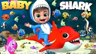 Cocomelon Baby Shark Song || Baby Shark Song || Baby Shark Dance#kidssongs #babyshark#viralvideo