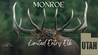 Utah Limited Entry Elk - Monroe