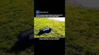 Bio-Inspired Crawling Robot | Porcospino Flex 3D-Printed Spine Tech | No Extra Motors #robot #shorts