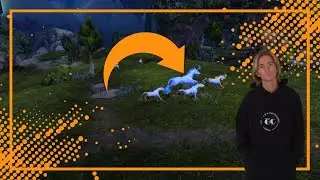 РЕДКИЙ СПАУН БИЧЕР | АЗСУНА | WORLD OF WARCRAFT LEGION REMIX 🎮🎮🎮