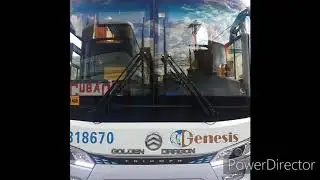 Genesis Transport 818670 Golden Dragon Triumph 2.0