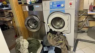 5th Wash Day - Nortec 