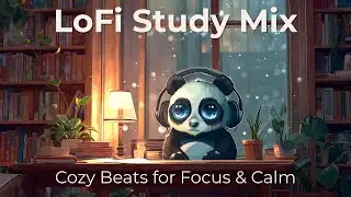Panda LoFi Study Mix — Soft Cozy Beats for Focus & Calm | 10 Hours of Rain Ambience 🐼