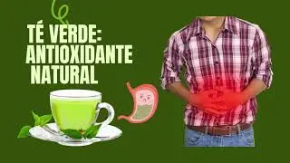 T&eacute; verde antioxidante natural #salud #teverde #antioxidantes