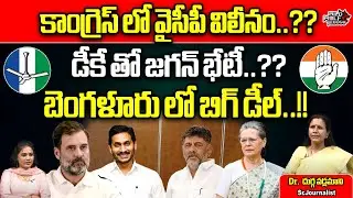 YS Jagan Meets To DK Shivakumar | YSRCP Merge In Congress | Rahul Gandhi | AP News |Wild Wolf Telugu