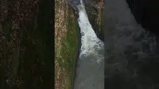 Flyin Pewets Nest, Wisconsin