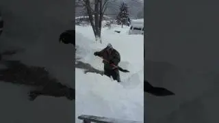 Chewbacca shoveling snow