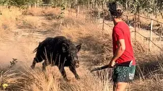 Хаос в стране крокодилов: неудачная охота и рыбалка