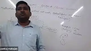 kingdom- animalia- introduction; classification of animals