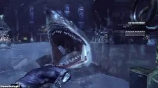 Batman: Arkham City 'Playthrough PART 9 [PS3]' TRUE-HD QUALITY