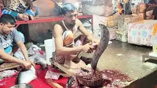 BIG SIZE VERY VERY DIFFERENT FISH CUTTING VIDEO | 4K VIDEO