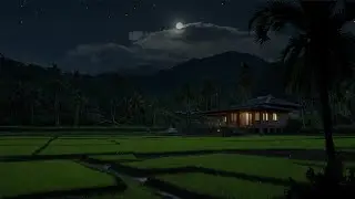 💤 ASMR Crickets Sound at Night | Deep Sleep Ambience | Gentle, Relaxing, Peaceful Nature
