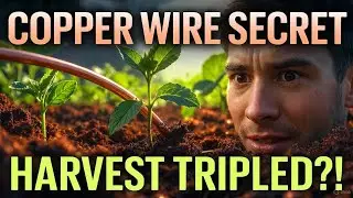 One Copper Wire Can TRIPLE Your Harvest 🌱 | Forbidden Garden Science Explained