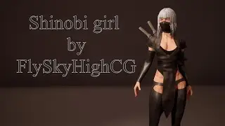 Shinobi 3d model presentation made by flyskyhighcg