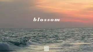 Blossom | Odesza x Flume x Future Bass Type Beat